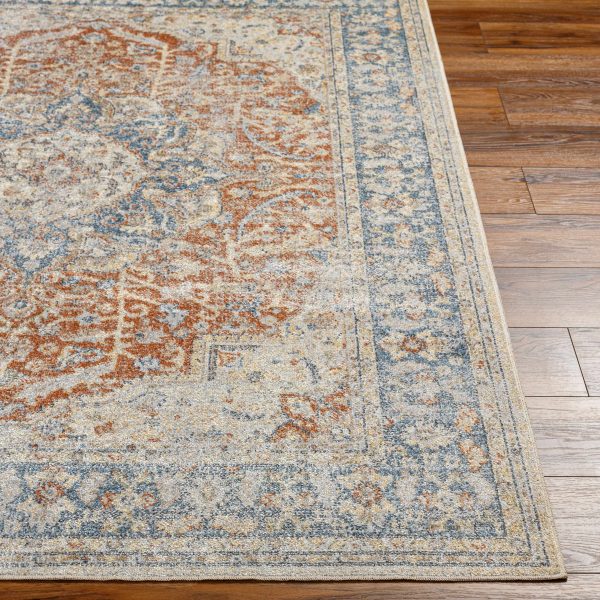 Emke Rust Washable Area Rug For Cheap - Image 4