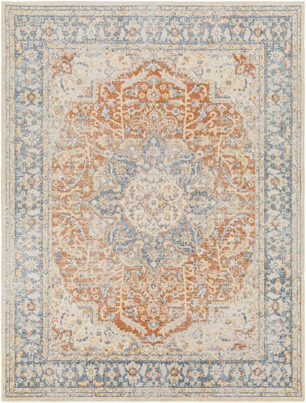 Emke Rust Washable Area Rug For Cheap - Image 2