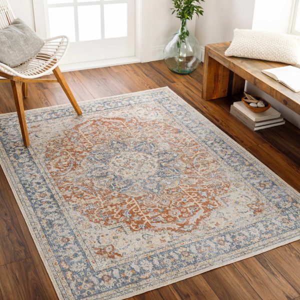 Emke Rust Washable Area Rug For Cheap