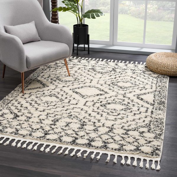 Buan Plush Area Rug Fashion