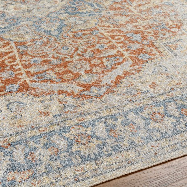 Emke Rust Washable Area Rug For Cheap - Image 3