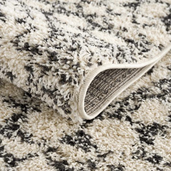 Buan Plush Area Rug Fashion - Image 5