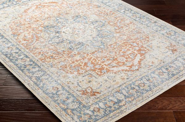 Emke Rust Washable Area Rug For Cheap - Image 5